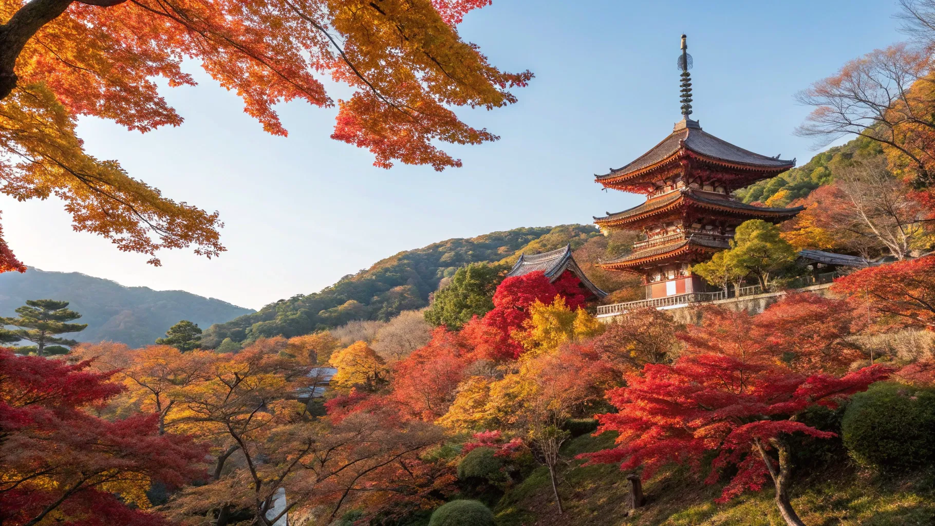 Experience Autumn Foliage Tours Japan from USA in 2025