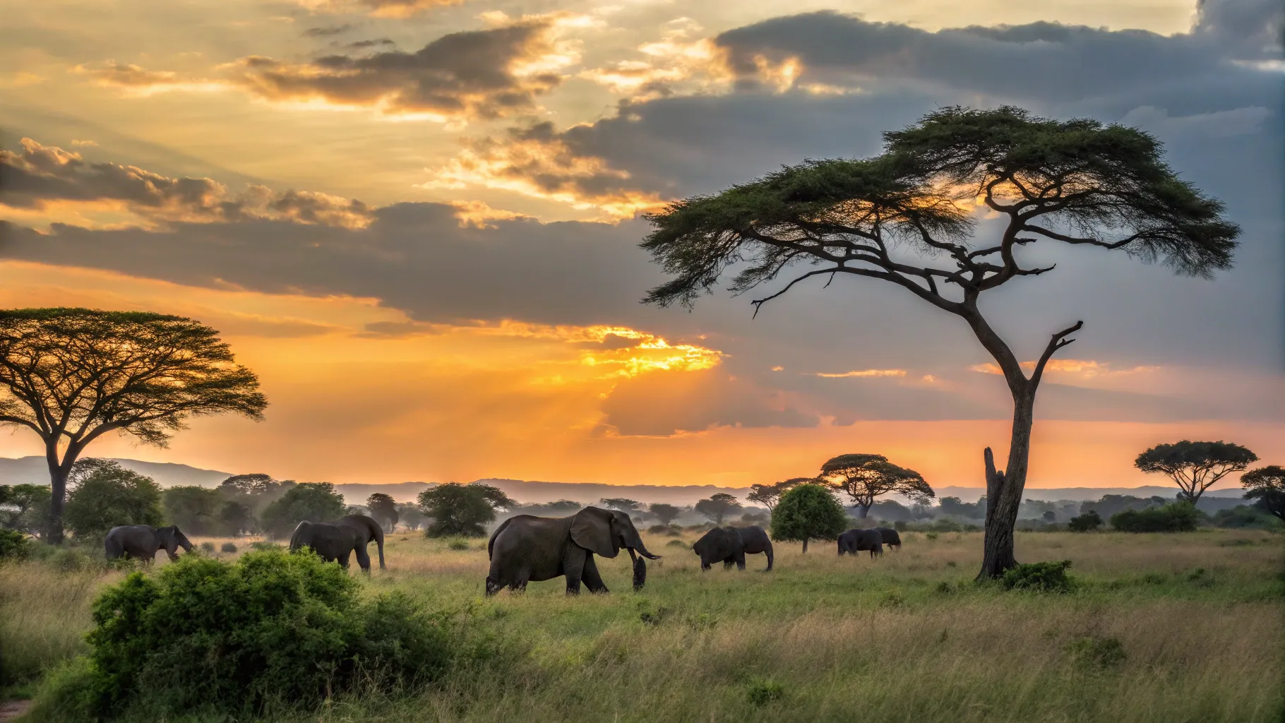South African Safari Adventures 2026 Luxury Tours Family Tri
