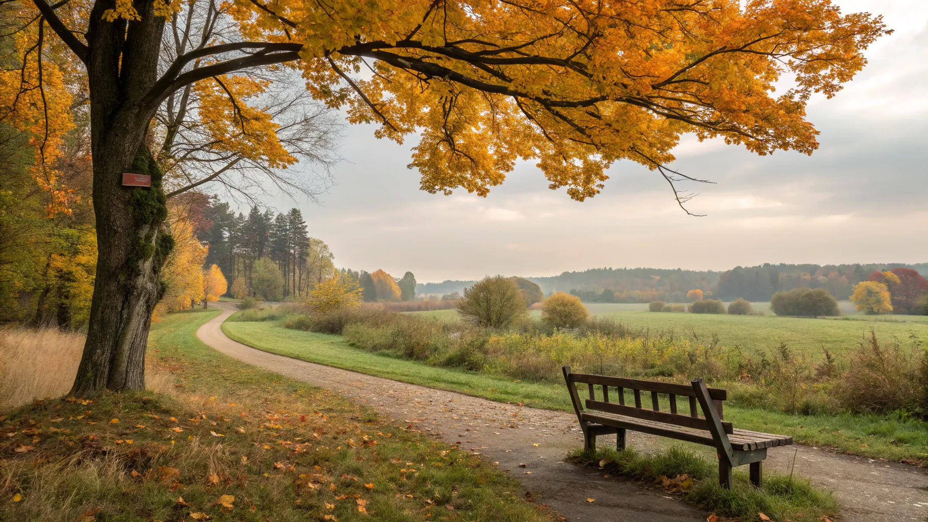 Learn About Multiple Sclerosis Symptoms and Support Options