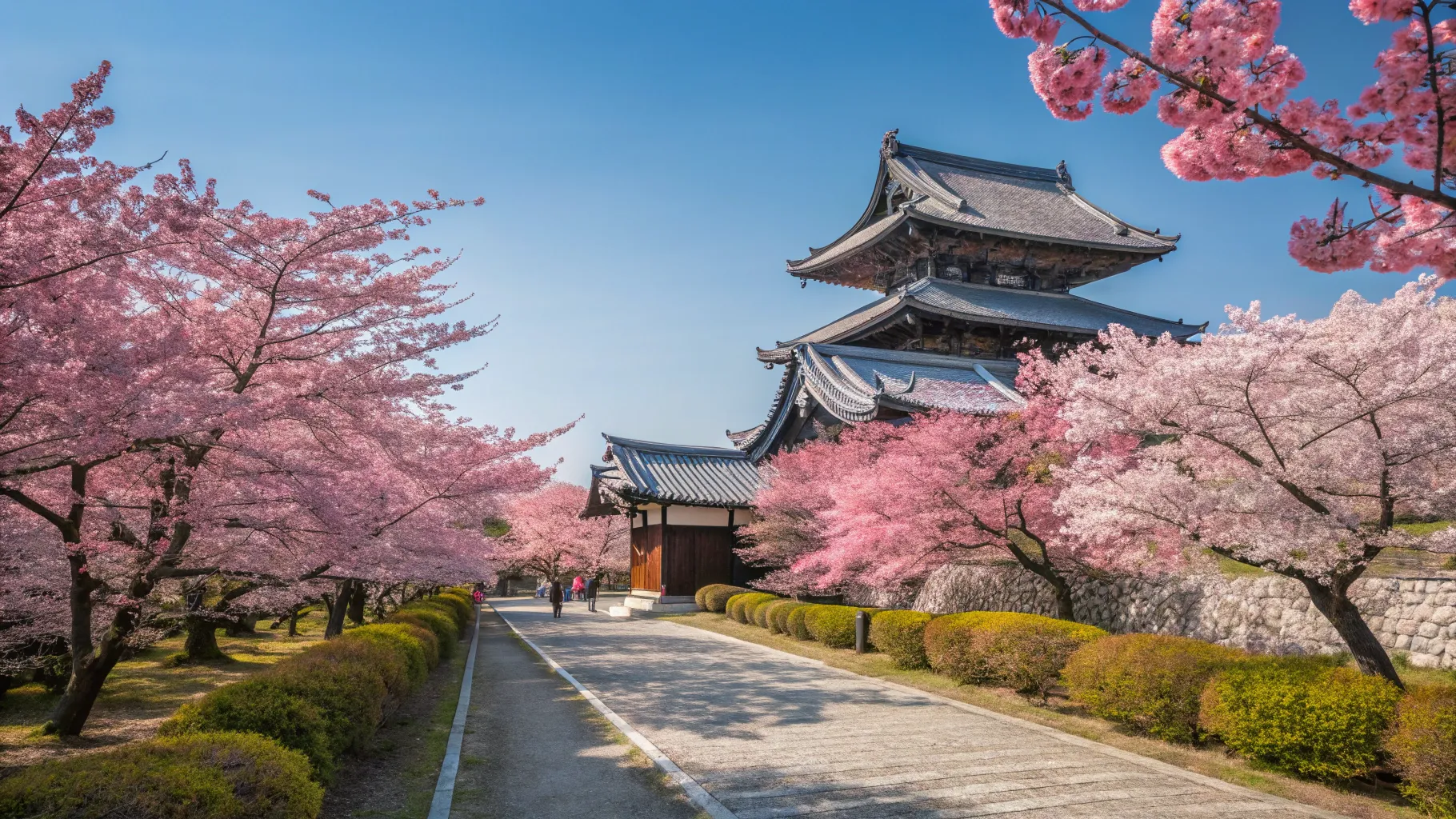シニア向け東京から京都大阪への旅行ガイド2025
